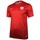 Oblačila Dečki Majice s kratkimi rokavi Nike Euro 2016 A Supporters Junior Rdeča