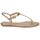 Čevlji  Ženske Sandali & Odprti čevlji Michael Kors MK18017 Zlata