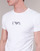 Oblačila Moški Majice s kratkimi rokavi Emporio Armani CC715-PACK DE 2 Bela