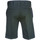 Oblačila Moški Kratke hlače & Bermuda Dickies Tynan Siva