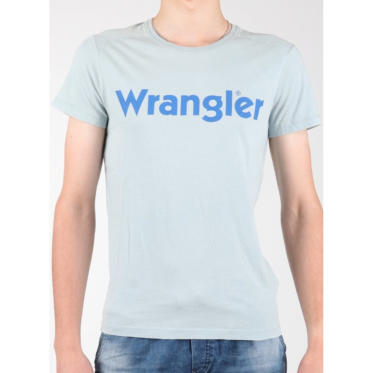 Oblačila Moški Majice & Polo majice Wrangler S/S Graphic Tee W7A64DM3E Siva