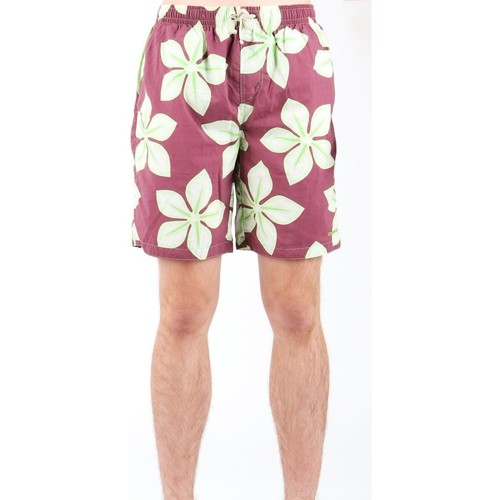 Oblačila Moški Kratke hlače & Bermuda Zagano 2216-203 Večbarvna