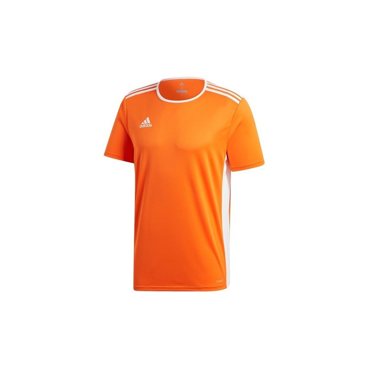 Oblačila Moški Majice s kratkimi rokavi adidas Originals Entrada 18 Oranžna