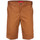 Oblačila Moški Kratke hlače & Bermuda Dickies Industrial wk sht Kostanjeva
