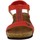 Čevlji  Ženske Sandali & Odprti čevlji Les Petites Bombes ROSALIE Rdeča