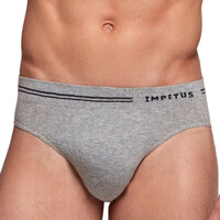 Spodnje perilo Moški Spodnje hlače Impetus Essentials Siva