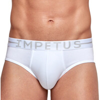 Spodnje perilo Moški Spodnje hlače Impetus Essentials Bela