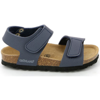Čevlji  Otroci Sandali & Odprti čevlji Grunland SB0014 Modra