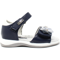 Čevlji  Deklice Sandali & Odprti čevlji Miss Sixty S19-SMS570 Modra