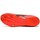 Čevlji  Moški Tek & Trail Asics Hyper MD7 Rdeča