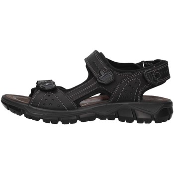 Čevlji  Moški Sandali & Odprti čevlji IgI&CO 5147800 Črna