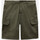 Oblačila Moški Kratke hlače & Bermuda Dickies Millerville short Zelena