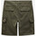 Oblačila Moški Kratke hlače & Bermuda Dickies Millerville short Zelena