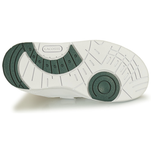 Lacoste T-CLIP 0121 1 SUI Bela