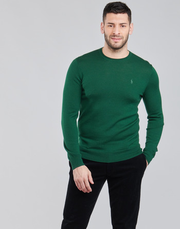 Oblačila Moški Puloverji Polo Ralph Lauren AMIRAL Zelena