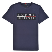 Oblačila Dečki Majice s kratkimi rokavi Tommy Hilfiger TERRAD Modra