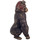Dom Kipci in figurice Signes Grimalt Orangutan Z Očali Pozlačena
