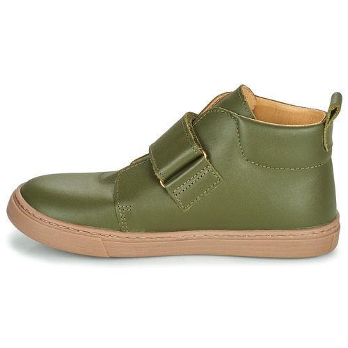 Citrouille et Compagnie FOJAMO Kaki