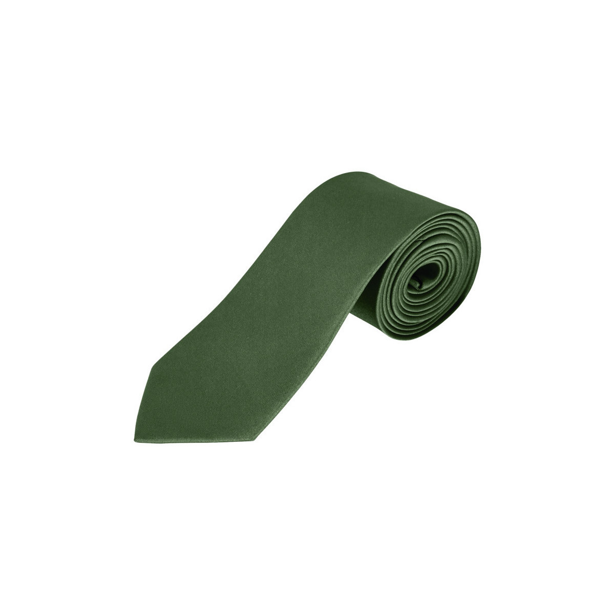 Oblačila Moški Obleke in kravate Sols GARNER - CORBATA Zelena
