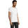 Oblačila Moški Majice s kratkimi rokavi Sols Camiseta IMPERIAL FIT color Blanco Bela