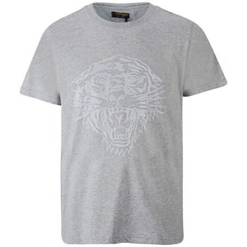 Oblačila Moški Majice s kratkimi rokavi Ed Hardy - Tiger glow t-shirt mid-grey Siva