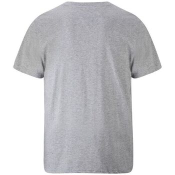 Ed Hardy Tiger glow t-shirt mid-grey Siva