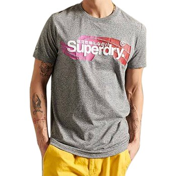 Oblačila Moški Majice s kratkimi rokavi Superdry 168643 Siva