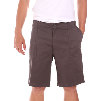 Oblačila Moški Kratke hlače & Bermuda Colmar 0867T 8SP Kostanjeva