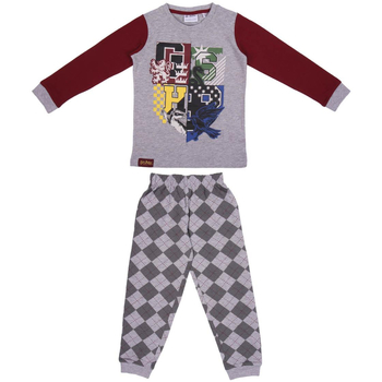 Oblačila Otroci Pižame & Spalne srajce Harry Potter 2200006346 Gris
