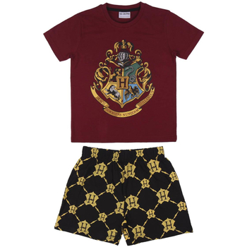 Oblačila Otroci Pižame & Spalne srajce Harry Potter 2200006993 Rdeča