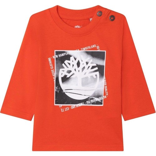 Oblačila Dečki Vetrovke Timberland  Oranžna