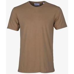 Oblačila Majice s kratkimi rokavi Colorful Standard T-shirt  Sahara Camel Kostanjeva