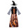 Oblačila Deklice Kostumi Fun Costumes COSTUME ENFANT DAZZLING WITCH Večbarvna