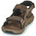 Čevlji  Moški Športni sandali Columbia Trailstorm Hiker 3 Strap Kostanjeva