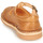 Čevlji  Otroci Sandali & Odprti čevlji Aster DINGO Rjava