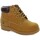Čevlji  Škornji Lumberjack 25784-18 Večbarvna