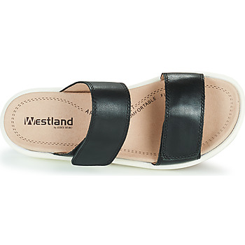 Westland ALBI 03 Črna