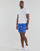 Oblačila Moški Kopalke / Kopalne hlače Polo Ralph Lauren W221SC13 Modra / Večbarvna