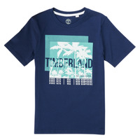 Oblačila Dečki Majice s kratkimi rokavi Timberland HOVROW Modra