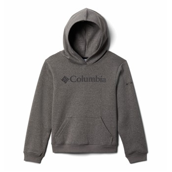 Oblačila Dečki Puloverji Columbia COLUMBIA TREK HOODIE Siva