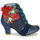 Čevlji  Ženske Gležnjarji Irregular Choice Winter Blooms Modra / Rdeča