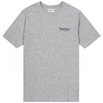 Oblačila Moški Majice s kratkimi rokavi Penfield T-shirt  Hudson Script Siva