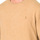 Oblačila Moški Puloverji Ralph Lauren RL710667378-021 Kostanjeva