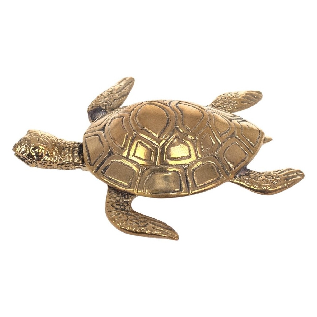 Dom Kipci in figurice Signes Grimalt Turtle Slika Pozlačena