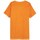 Oblačila Moški Majice s kratkimi rokavi Outhorn TSM603 Oranžna