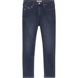 Oblačila Moški Jeans skinny Tommy Jeans DM0DM12092 Scanton Modra