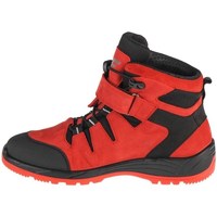 Čevlji  Otroci Škornji za sneg 4F Junior Trek Črna, Rdeča