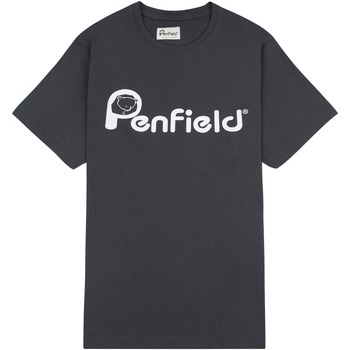 Oblačila Moški Majice s kratkimi rokavi Penfield T-shirt  Bear Chest Print Siva