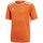 Oblačila Dečki Majice s kratkimi rokavi adidas Originals Entrada 18 Oranžna