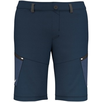 Oblačila Moški Kratke hlače & Bermuda Salewa Lavaredo Hemp M Cargo 28033-3960 Modra